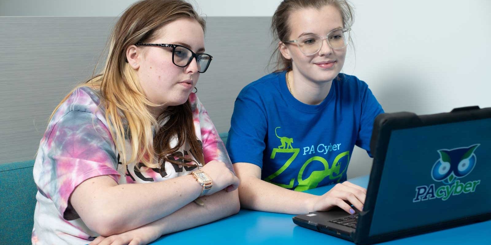 PA Cyber Students on a laptop